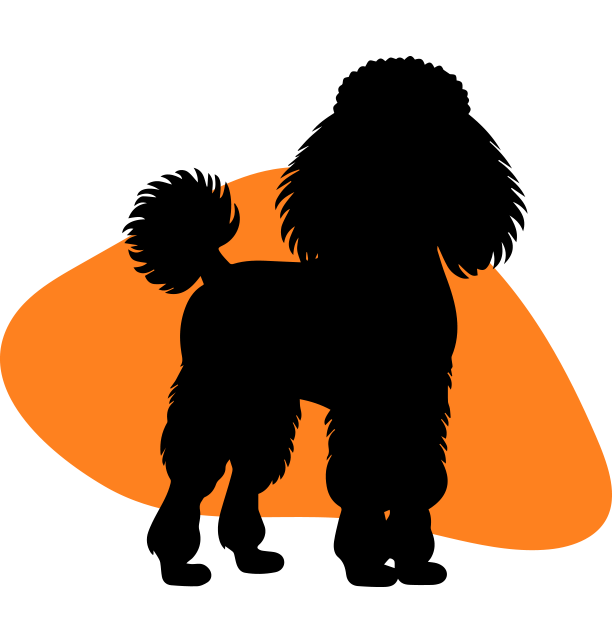 Standard Poodles Logo